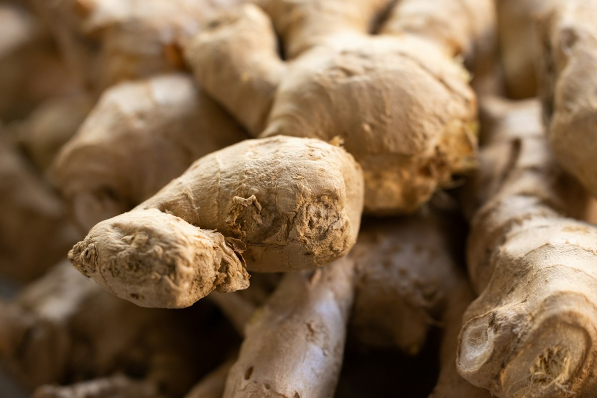 Maca Peru - Akar Kesuburan